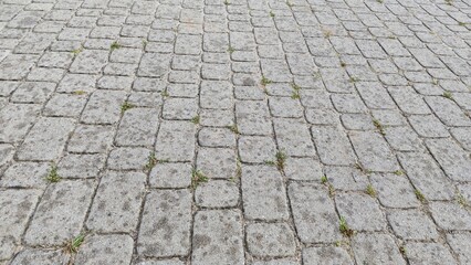 Cobblestone Pavement with Grass and Rain Spots – Angled Perspective Texture