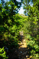 Ikaria island, Greece empty trail footpath vertical view of silhouette of Greek canopy secret road by Drakano Tower to St George beach