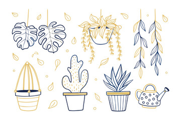 Indoor Garden Collection: A captivating assortment of hand-drawn houseplants, each meticulously illustrated in an illustrative style.