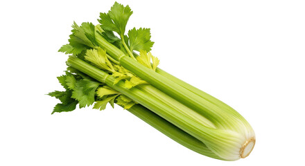 Isolated Celery Sticks