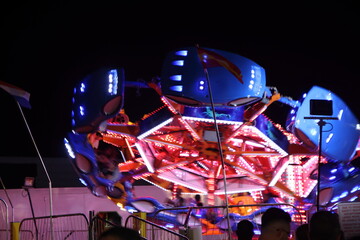 Nighttime Neon Carnival at Tally’s Amusement Park, Ohio State Fair – Rides, Lights, and Fair Food