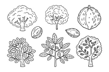 Diverse Trees: A collection of black and white hand-drawn illustrations of trees, showcasing various leaf shapes and growth patterns, perfect for educational or design purposes. 