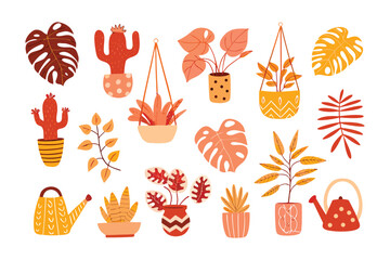 Home Plants Collection: A vibrant illustration of various indoor house plants in a warm and inviting style, perfect for adding a touch of natural beauty and coziness to any interior space.