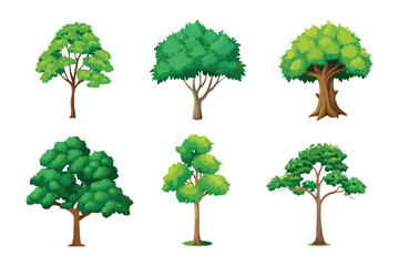 Diverse Tree Collection: A collection of various trees showcase different foliage patterns and styles, symbolizing the rich diversity found within the natural world.