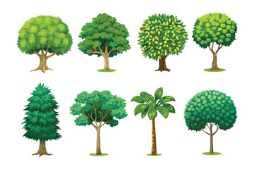 Fototapeta premium Variety of Trees: Showcasing a diverse collection of trees, each with unique leaf structures and forms. A visual guide for nature lovers.