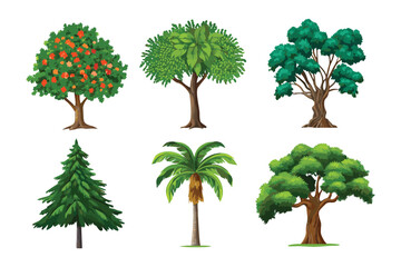 Variety of Trees: An array of diverse trees showcase the beauty and variation found in nature, each with its unique shape and foliage, symbolizing growth, life, and the essence of the natural world.