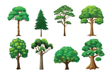 Variety of Trees: A collection of diverse tree illustrations, showcasing the various forms and shapes of trees, from tall pines to broad-leafed trees. Perfect for any nature or design project. 