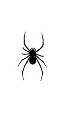 Spider Silhouette on White Background – Minimalist Modern Anatomy Graphic