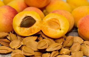 Photographs of ripe apricots and apricot seeds taken in the Süttütyo region.