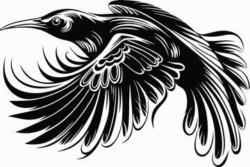 Black bird soars powerfully through the open air with expansive wings spread wide