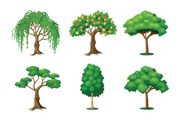 Variety of Trees: Diverse illustrations of various tree species, showcasing a vibrant array of foliage and textures, perfect for educational purposes or design elements.