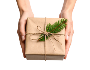 Hands Holding Eco Gift Box with Fir Branch, Isolated on Transparent Background