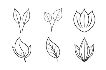 line art big tooth leaf with a gently curved stem  set bundle on the white background