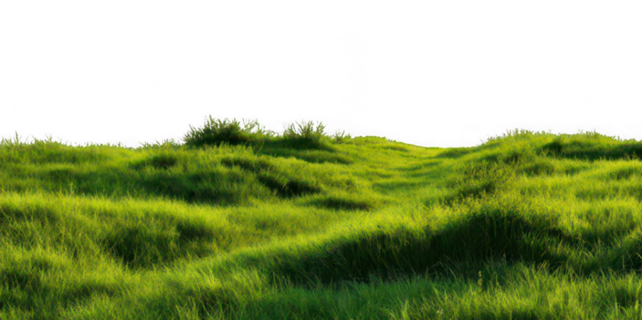 Realistic Green Grass Field PNG – Isolated on Transparent Background for Landscape Design, Nature Projects, and Outdoor Scene Creators