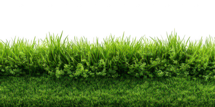 Realistic Green Grass Field PNG – Isolated on Transparent Background for Landscape Design, Nature Projects, and Outdoor Scene Creators