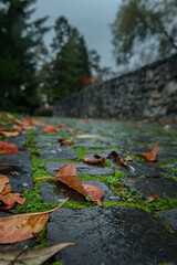 Stone pavement with fallen autumn leaves on rainy day and stone wall in background