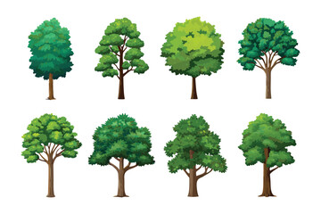 Various Trees Illustrations: A collection of diverse tree illustrations, each showcasing unique foliage and branching patterns, inviting viewers to explore the beauty of arboreal life.