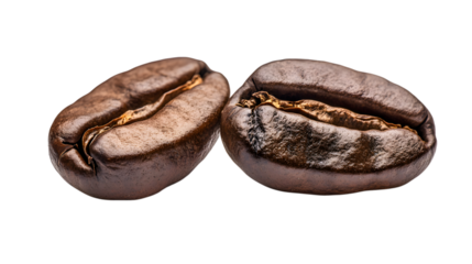 Two coffee beans are shown on a white background