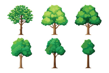 Diverse tree collection: A vibrant collection of six meticulously crafted tree illustrations showcases a variety of shapes and lush green foliage, ideal for adding a touch of nature to your project. 