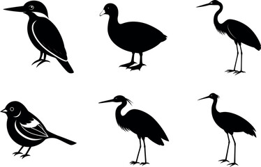 Fototapeta premium European wetland birds silhouette vector collection six unique species art