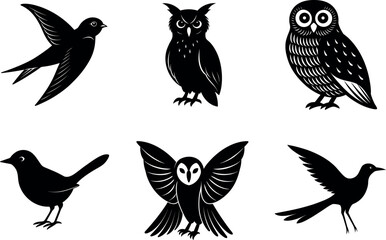 Obraz premium European night bird silhouette vector set of six nocturnal species