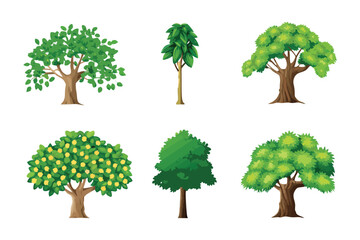 Variety of Trees: Discover a collection of meticulously illustrated trees, a vibrant showcase of nature's diversity, offering a burst of fresh inspiration for any creative project.