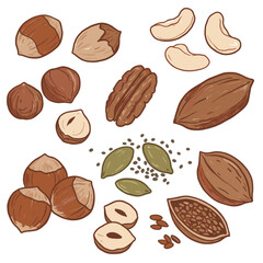 Collection of various nuts and seeds on white background  