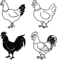 Chicken Continuous Line Drawing with Editable Stroke
