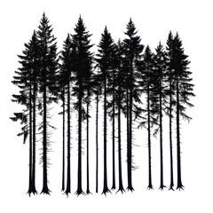 Black forest trees silhouette, cluster of black forest trees silhouetted against a bright sky, isolated on transparent background