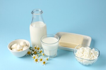 Fresh dairy products and chamomile flowers on light blue background