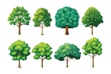 Diversity of Forest: A collection of diverse trees, showcasing the vibrant range of flora, providing a visual feast for nature enthusiasts.