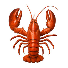 Overhead View of a Vivid Orange Lobster with Raised Claws