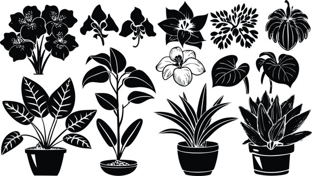 A variety of stylized black and white illustrations of potted houseplants and flowering plants