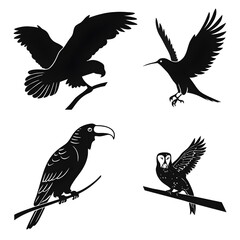 Obraz premium set of silhouettes of birds