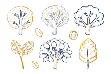 Obraz premium Botanical Beauty: A collection of stylized tree and leaf illustrations showcases the elegant simplicity of nature, capturing the essence of organic forms.