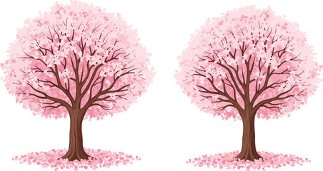 Cherry blossom trees in full bloom, pink flowers, spring season, vibrant petals, nature beauty, floral landscape, tranquil outdoor scene © Halal Artist