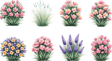 Gordijnen Tropische Bladeren Flowering plant illustration, botanical set, pink flowers, purple blooms, green leaves, nature sketch, garden flora, floral variety, plant collection, seasonal bloom  © Halal Artist