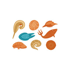  different fossilized sea animal set 