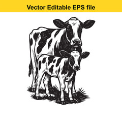 Cow and calf standing in a grassy field, isolated on white background