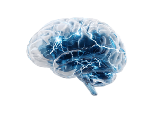 stylized brain