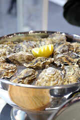 ostras con su concha en una bandeja con un limón