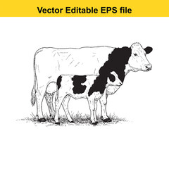 vector art of mother cow and calf in a grassy field, isolated on white background