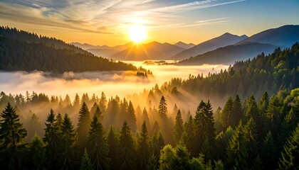 Fototapeta premium Golden Sunrise Illuminating Foggy Forest Valley with Distant Mountains