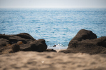 Sandy beach and waves under a sunny sky