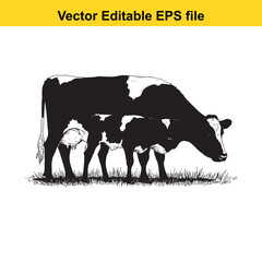 vector art of black and white cow with calf grazing in a grassy field
