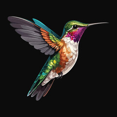Obraz premium Hummingbird Vector Design