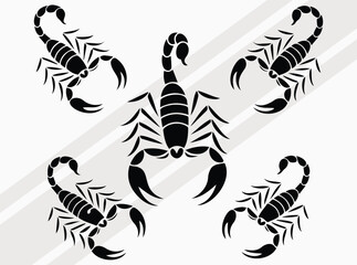 Intricate Scorpion Illustration Set for Art and Design