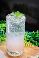 Iced pink soda with sparkling bubbles and mint leaves garnish, served in a clear glass on a wooden surface with green leaves in the background.