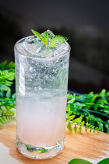 Iced pink soda with sparkling bubbles and mint leaves garnish, served in a clear glass on a wooden surface with green leaves in the background.