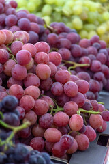 Close-up of red grapes in the market.